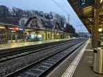 2023-03-07_182953_puidoux_gare_photos_marquise_quai_1.jpg