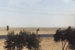 La route d�sertique : deux bandes de bitume de 200km de long, s�par�es par un cordon de verdure irrigu� artificiellement, le tout plant� au milieu du d�sert ...